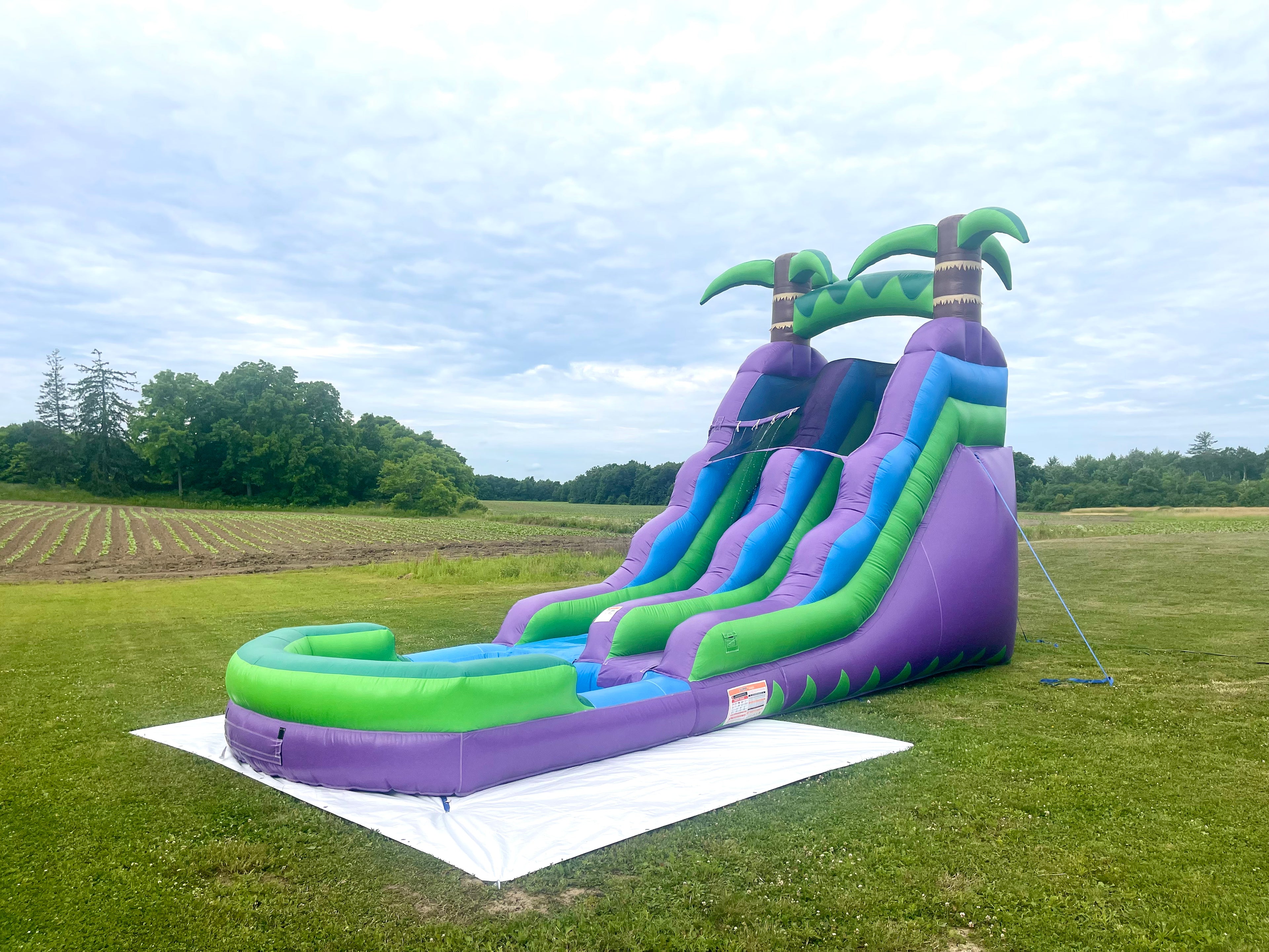 Big Waterslide 16 Foot Party Rental for Birthday Event in Hagersville, Haldimand County