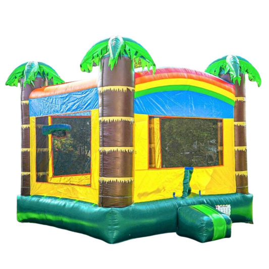 Safari Slam Dunk Bouncy Castle